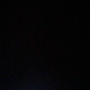 Meet your Posher, Sophi